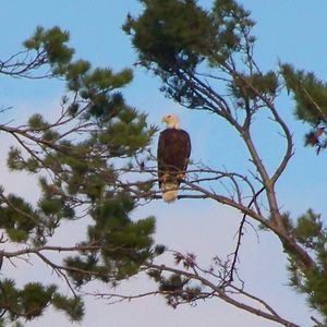 Meet your Posher, Michele